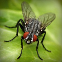 /album/torredelcampo-ante-las-drogas/photolia-a01-jpg/