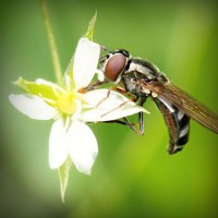/album/torredelcampo-ante-las-drogas/photolia-a02-jpg/