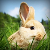 /album/torredelcampo-ante-las-drogas/photolia-a03-jpg/