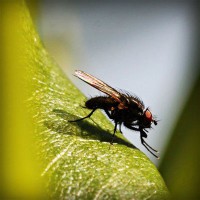 /album/torredelcampo-ante-las-drogas/photolia-a04-jpg/