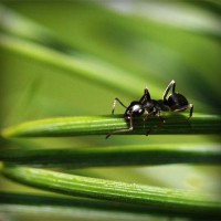/album/torredelcampo-ante-las-drogas/photolia-a05-jpg/