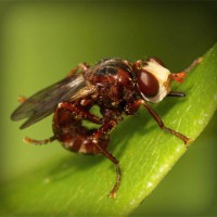 /album/torredelcampo-ante-las-drogas/photolia-a06-jpg/