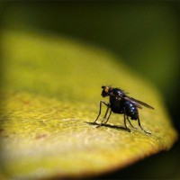 /album/torredelcampo-ante-las-drogas/photolia-a07-jpg/