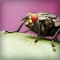 /album/torredelcampo-ante-las-drogas/photolia-a08-jpg/