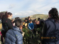 /album/torredelcampo-ante-las-drogas/img-2554-jpg/